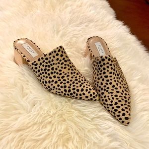 Cheetah Print Pointed Toe Mule by Stephen New York